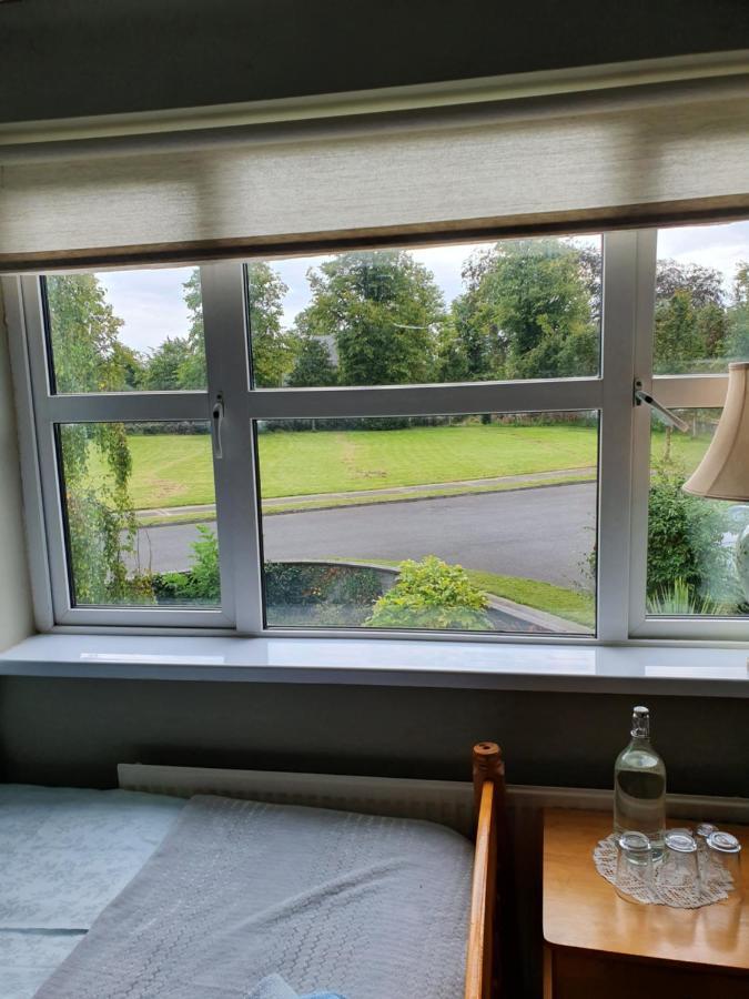 Rheban Bnb Athy Buitenkant foto