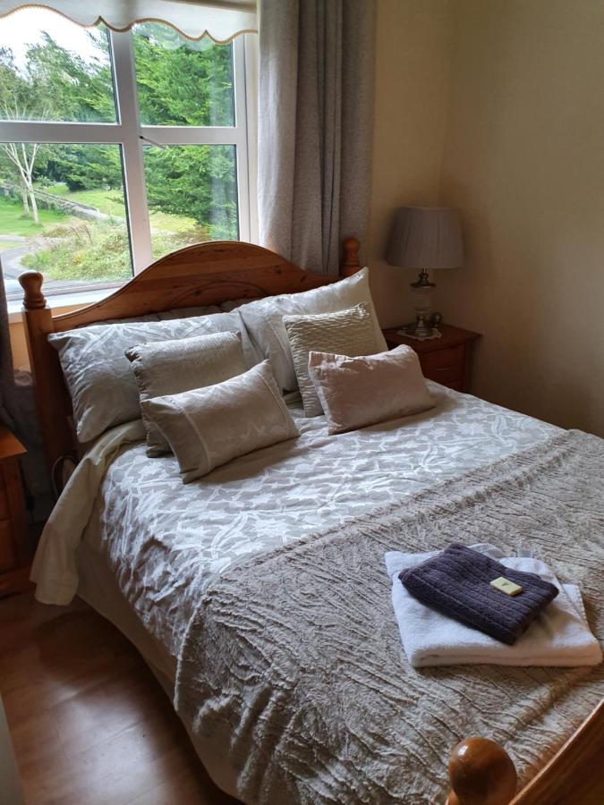 Rheban Bnb Athy Buitenkant foto