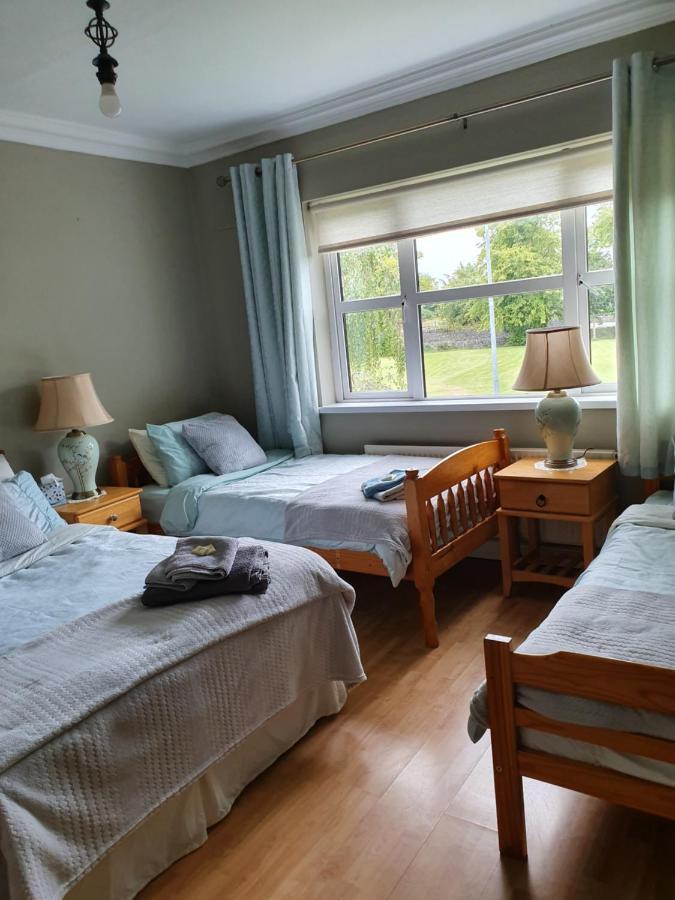 Rheban Bnb Athy Buitenkant foto